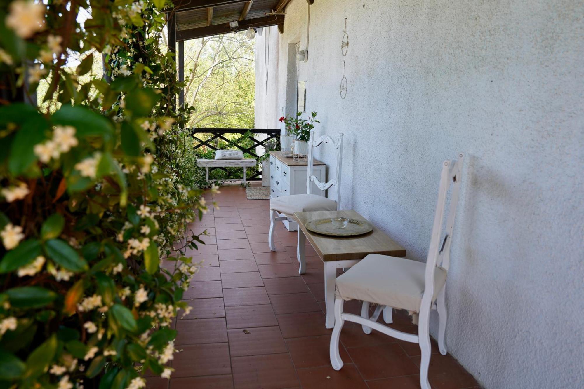B&B Il Piccolo Paradiso Montenero  Exterior foto